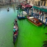 Venice Canal Patch Turns Fluorescent Green