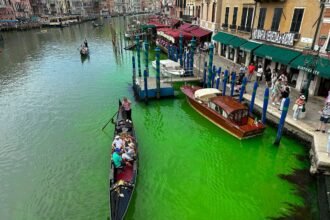 Venice Canal Patch Turns Fluorescent Green