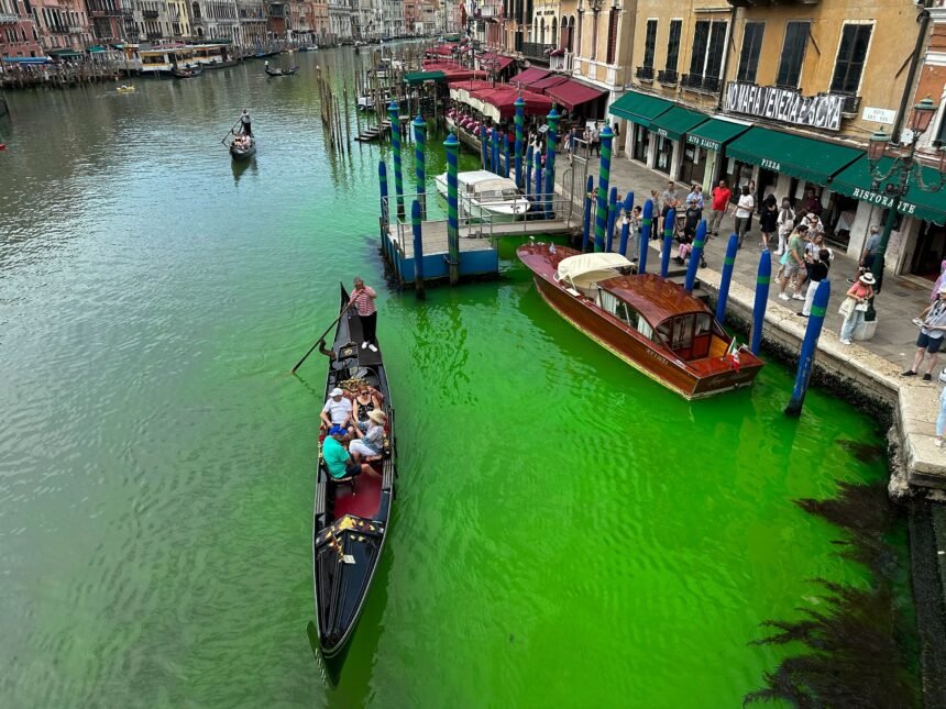 Venice Canal Patch Turns Fluorescent Green