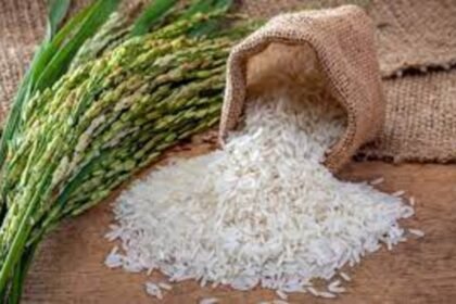 India Permits Export of Trapped Non-Basmati White Rice Cargo Following Ban
