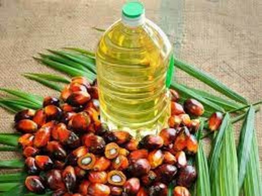 India Anticipates Record 26% Surge in Palm Oil Imports to 10 Million Tons