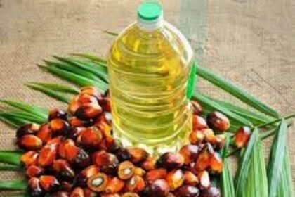 India Anticipates Record 26% Surge in Palm Oil Imports to 10 Million Tons