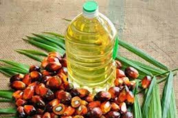 India Anticipates Record 26% Surge in Palm Oil Imports to 10 Million Tons
