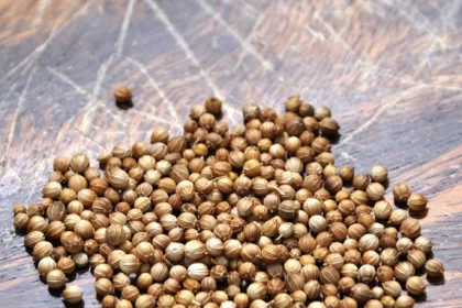 Coriander seeds